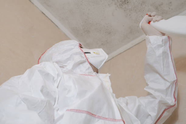 Best Emergency Mold Removal  in Vance, AL