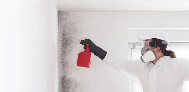 Best Residential Mold Removal  in Vance, AL