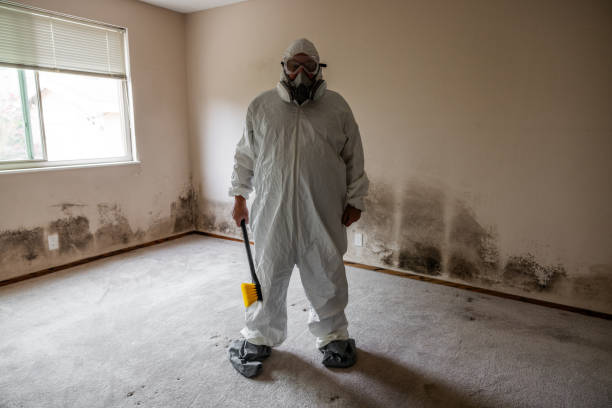 Crawl Space Mold Removal in Vance, AL